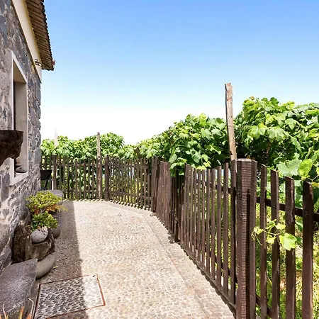 Villa Casinha Do Mar By Galmi São Vicente